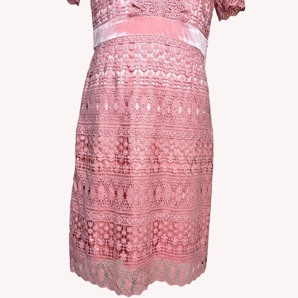 Rachel Parcell Pink Bride Lace Crochet Dress Womens M Coquette Legally Blonde‎ - Picture 4 of 15
